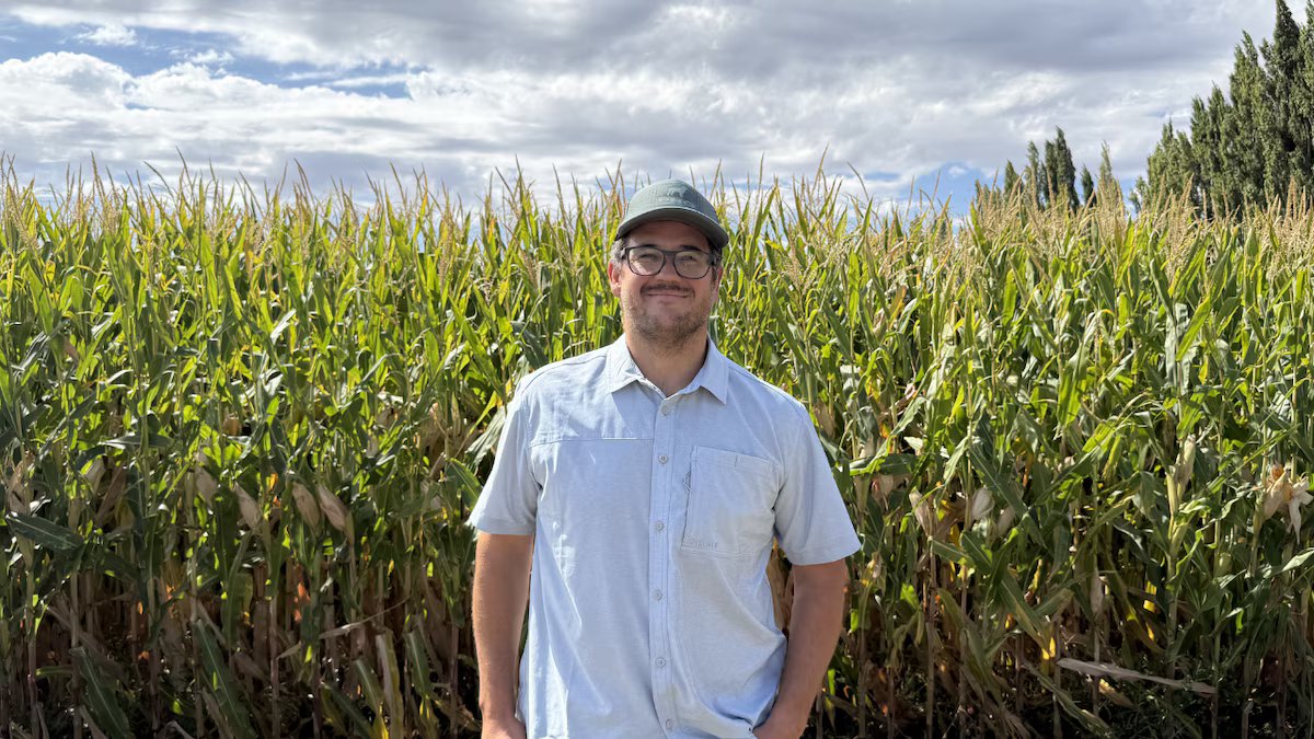 A província tem duas condições ideais para a cultura e está em franca expansão
