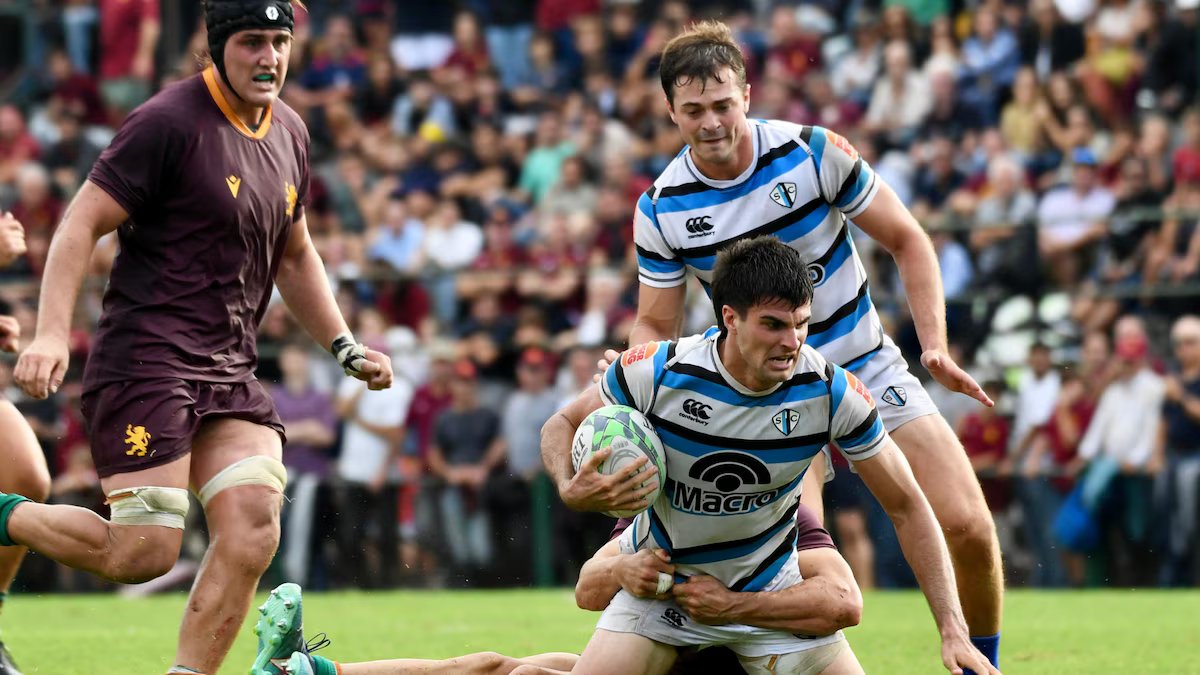 Acerte o campeão. SIC foi pura força e retaliou Newman