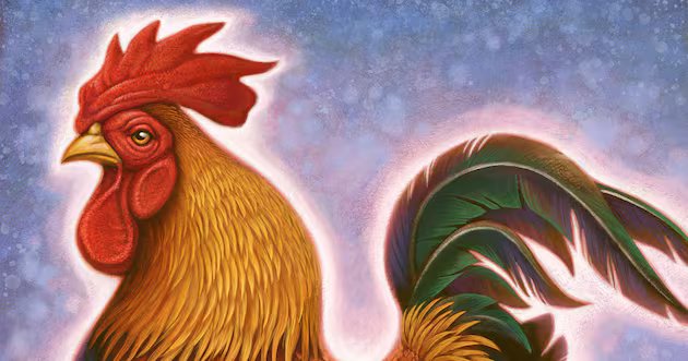 Aprendendo a conviver com o galo do vizinho barulhento – Deseret News