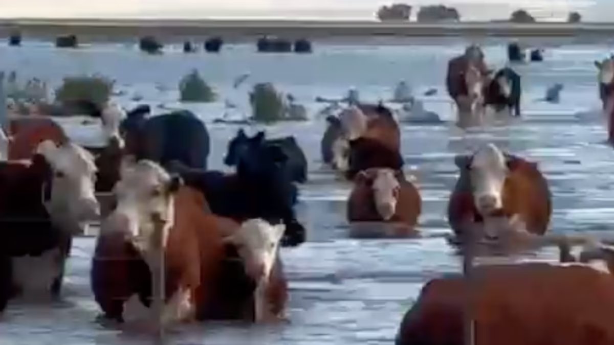 Cairam até 200 mm em seis horas, a região de Buenos Aires entrou em colapso e temem outra supertempestade.