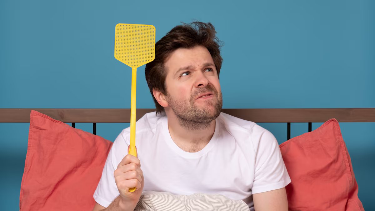 Como manter as moscas longe de casa com uma fórmula caseira infalível