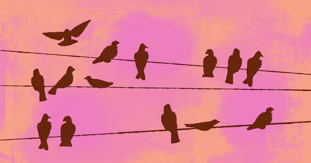 Conectar-se com outras pessoas apesar das diferenças políticas