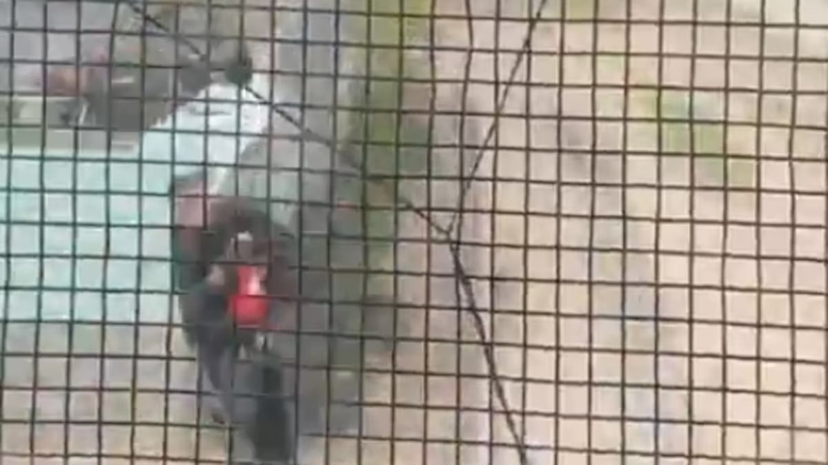 Córdoba. um policial salvou uma criança de três anos de ser atropelada por um trem