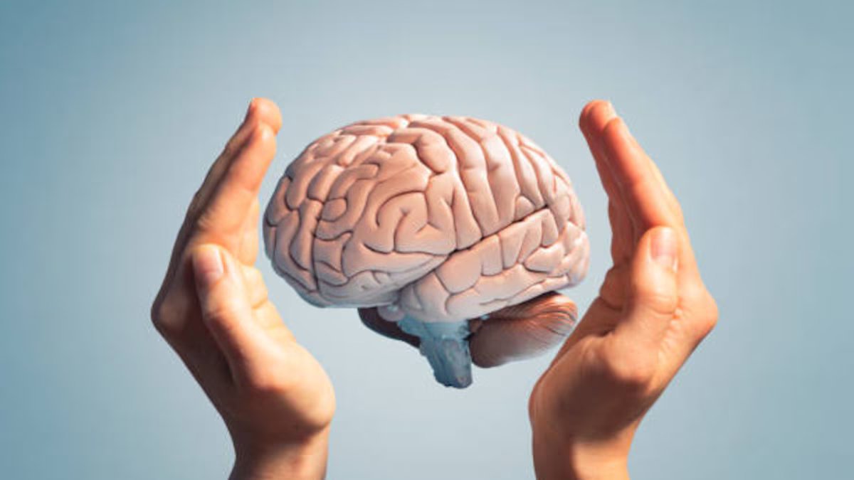 É possível fortalecer a memória depois dos 65 anos? Descubra como uma atitude positiva muda o corpo e a mente