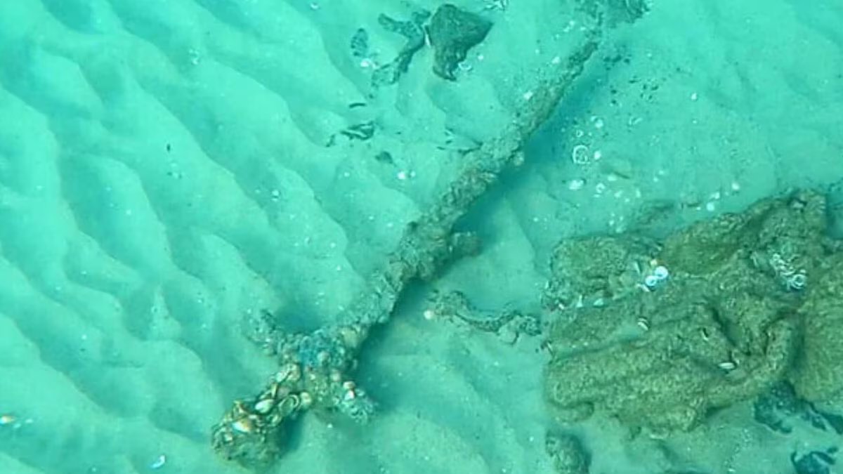 Ele nadou no Mediterrâneo e encontrou um tesouro de 800 anos