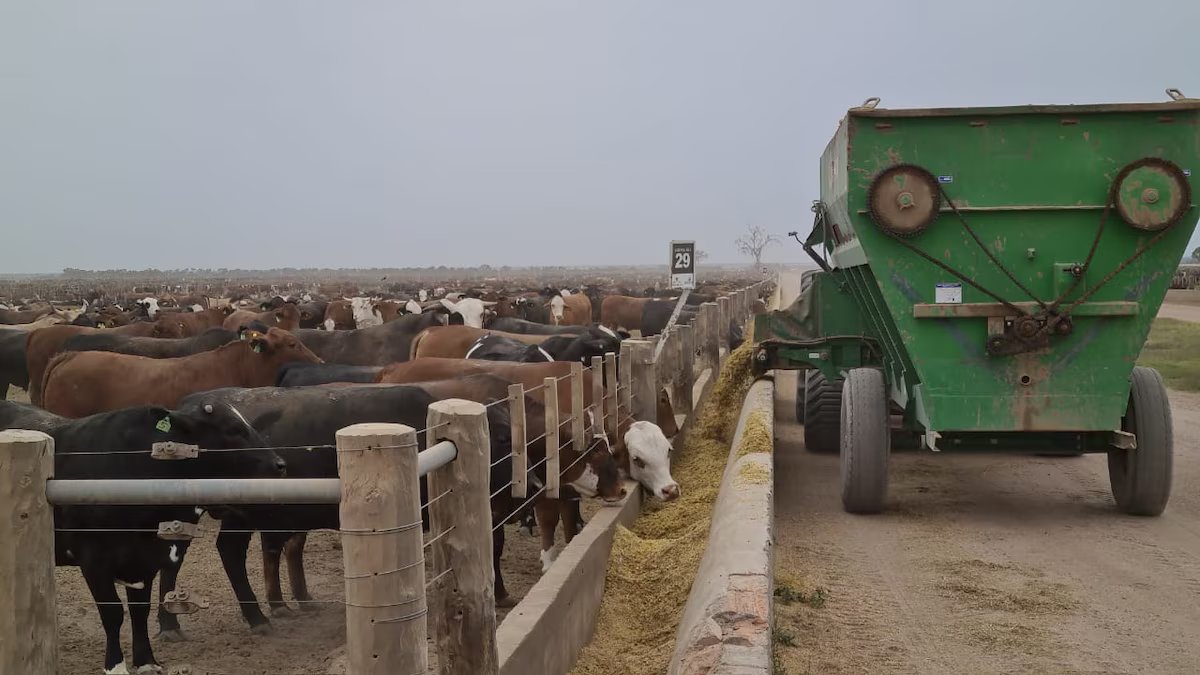 Eles alertam que a exigência do RIMI deixa de lado o investimento da indústria