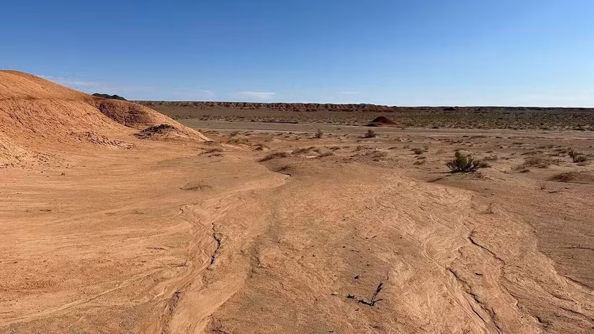 Eles descobrem como transformar areia do deserto em tijolo ou concreto