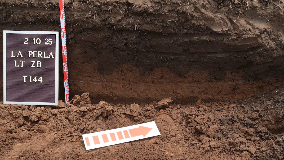 Eles revelaram os nomes das 12 pessoas desaparecidas encontradas no centro de detenção secreto de La Perla