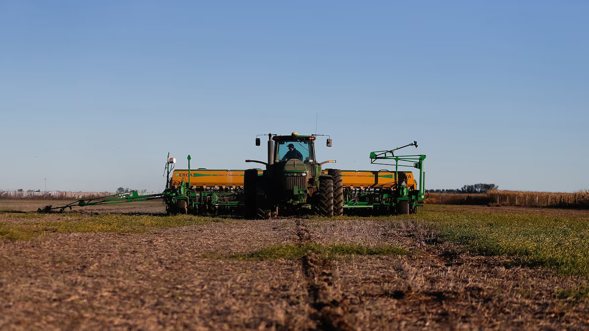 Há fornecimento de fertilizantes para 30 a 60 dias no país