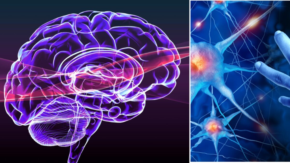 Hábito que mais protege o cérebro. a fórmula secreta que um neurologista recomenda para prevenir falhas de memória
