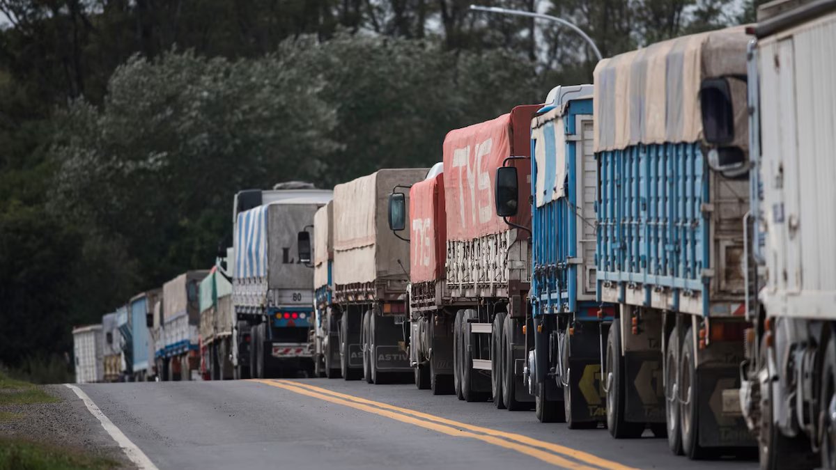 Milho: Venda direta ao porto e cautela dos exportadores