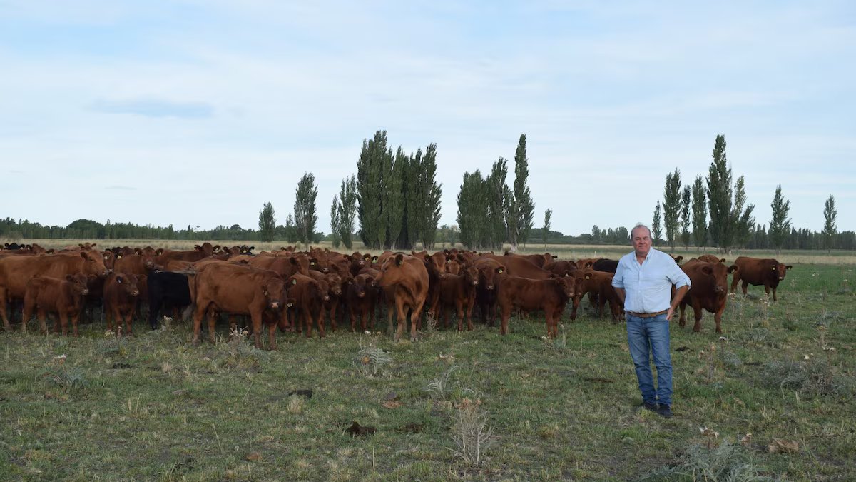 Mudou-se para a Patagônia, começou com poucas vacas e hoje tem um negócio de sucesso