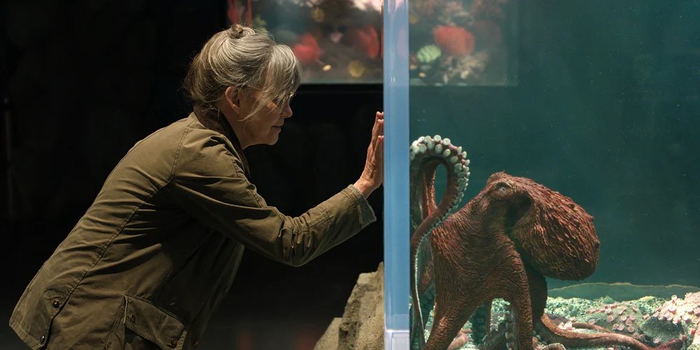 Netflix lança teaser de ‘Criaturas notavelmente brilhantes’ e revela a voz do polvo Marcellus | Alfred Molina Beth Grant Colm Meaney Joan Chen Kathy Baker Lewis Pullman Filmes Netflix Criaturas notavelmente brilhantes Sally Field Sofia Black D’Elia Trailers | Notícias e fofocas sobre celebridades | Entretenimento, fotos e vídeos