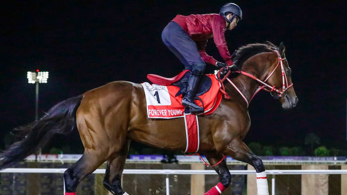O Médio Oriente está em guerra, mas o território continua. A Copa do Mundo de Dubai está no horizonte.