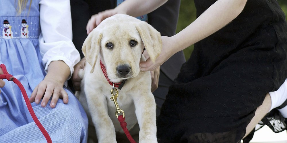 O comportamento estranho deste cachorro levou ao diagnóstico de câncer de seu dono, e ele está compartilhando a incrível história | saúde, interesse humano, animais de estimação | Notícias e fofocas sobre celebridades | Entretenimento, fotos e vídeos