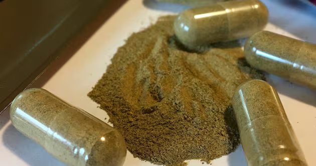 O controle do veneno de Kratom aumentou dramaticamente nos últimos 11 anos: CDC – Deseret News