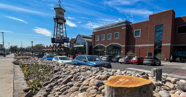 O que aconteceu com as árvores do lado de fora da praça do bonde? – Notícias Deseret