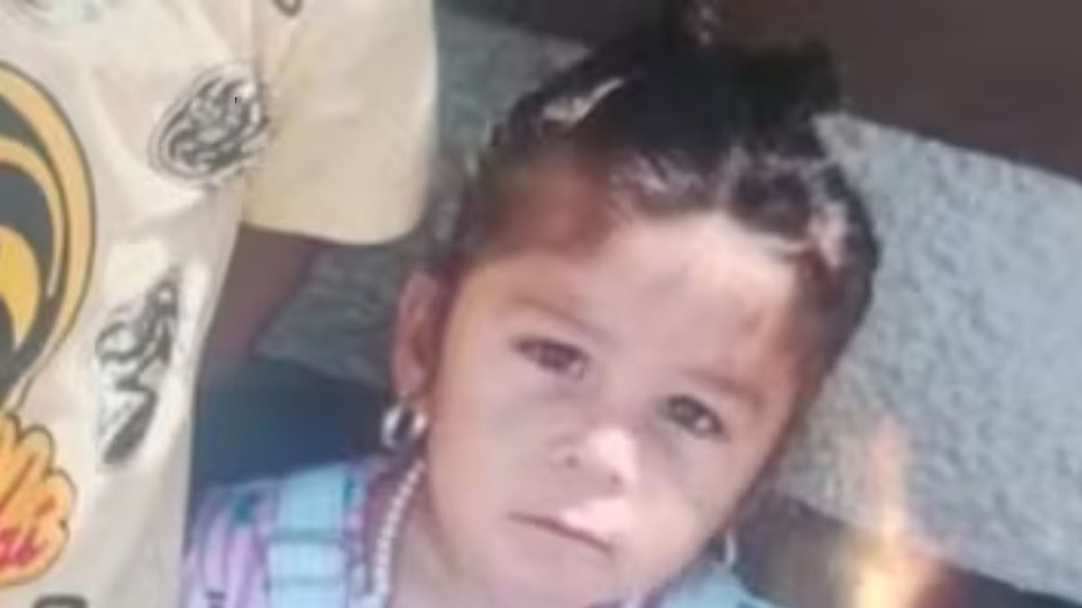 O que é o Alerta Sofia e porque é que é importante para encontrar crianças desaparecidas?