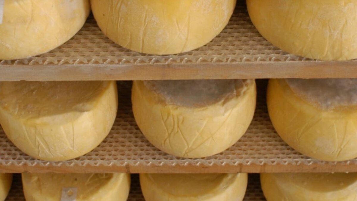 O queijo Tafí del Valle, onde é produzido há mais de 500 anos, é o primeiro laticínio do país a ter indicação geográfica.