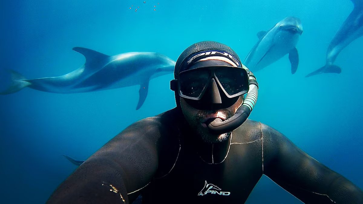 “Os animais estabelecem as regras.” assim é mergulhar entre leões marinhos, golfinhos e outras espécies do Mar da Patagônia;