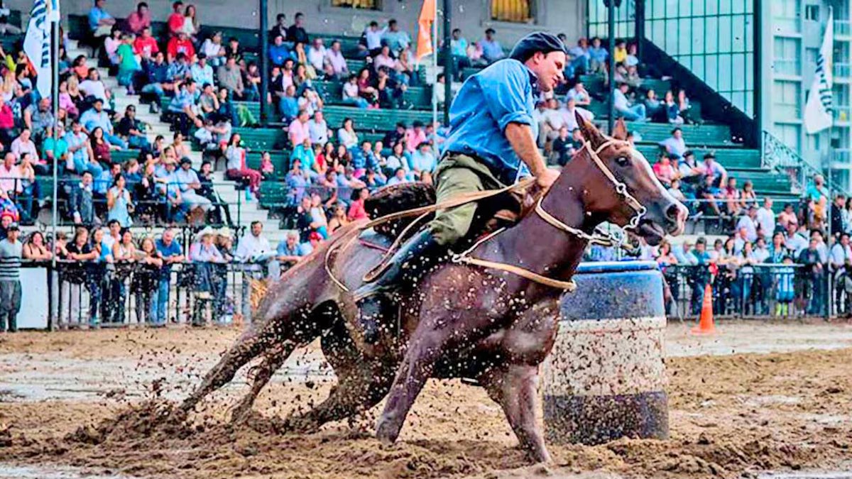 Our horses in Palermo. quando e onde é e como comprar ingressos
