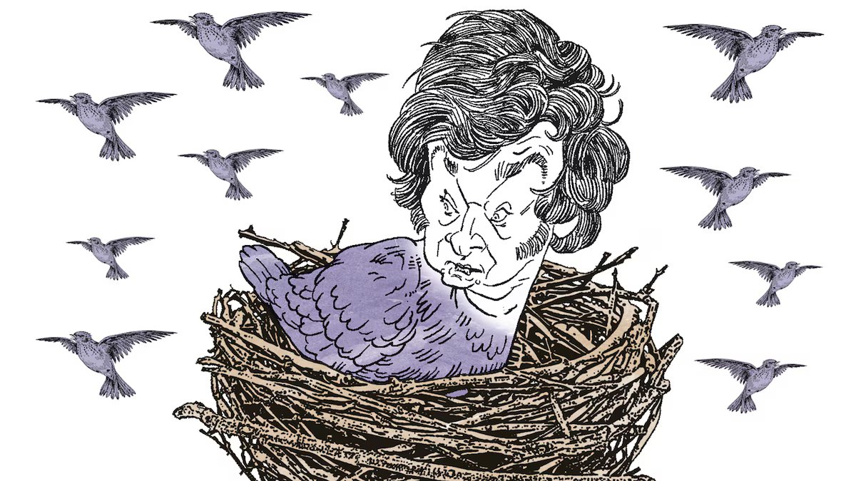 Racionalidade económica com moderação política. A próxima temporada da Argentina.