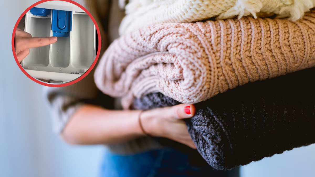 Roupas de lã podem ser lavadas na máquina de lavar? Eu descobri o método certo para mantê-lo intacto e macio