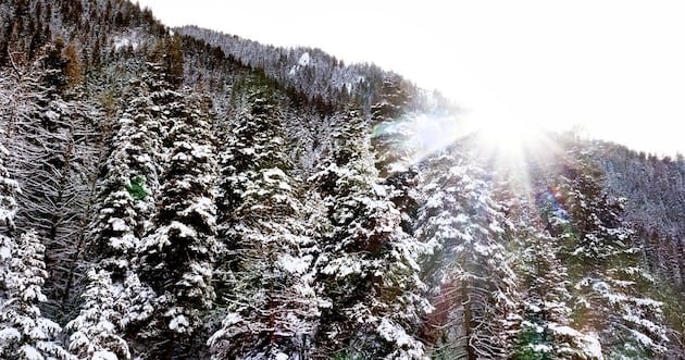 Serviço Florestal dos EUA muda sede para Salt Lake City – Deseret News