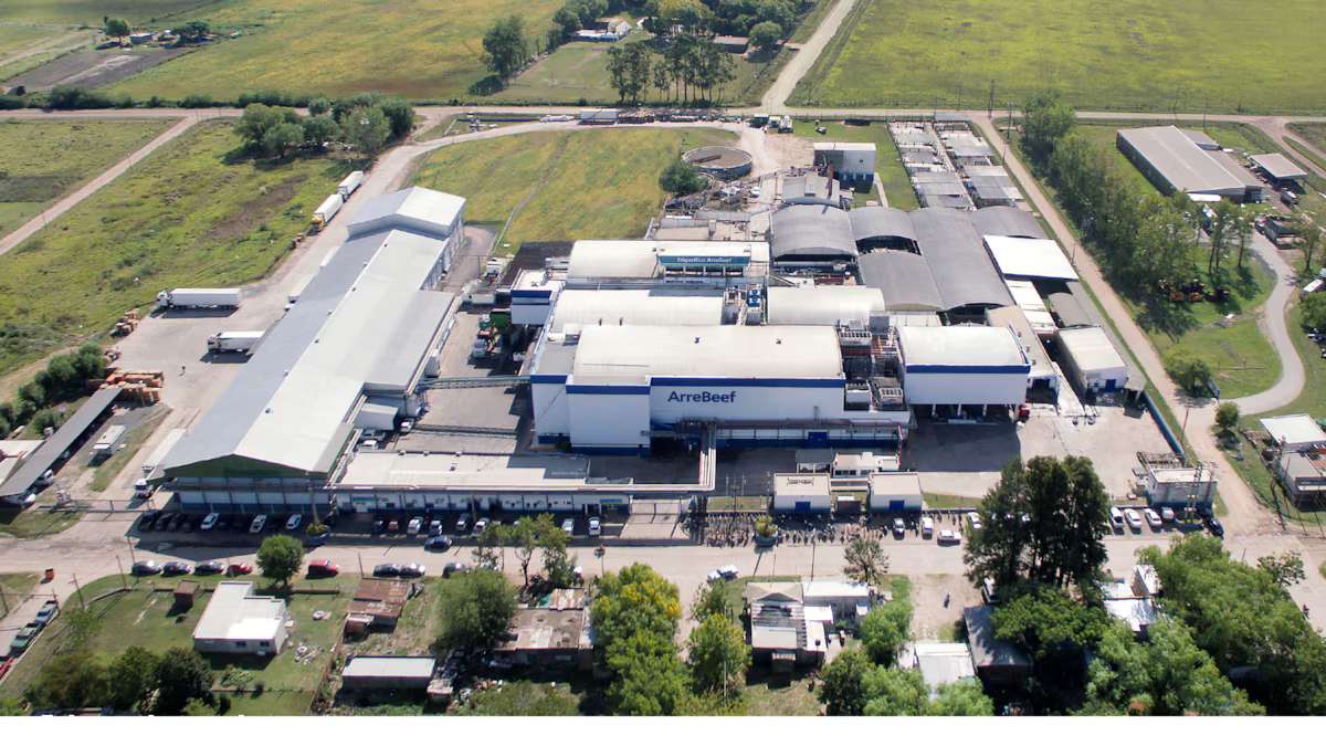 “Temporário”. – A NAÇÃO