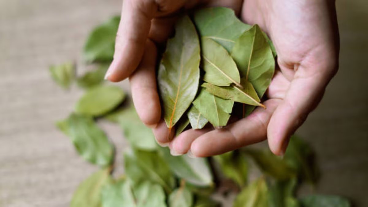 Um truque caseiro com folha de louro e água morna para aliviar o cansaço