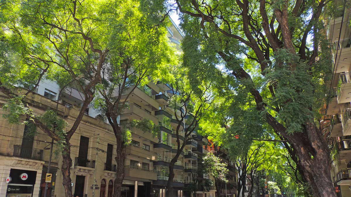 Uma avenida exclusiva onde um projeto de luxo é construído a cada dois quarteirões