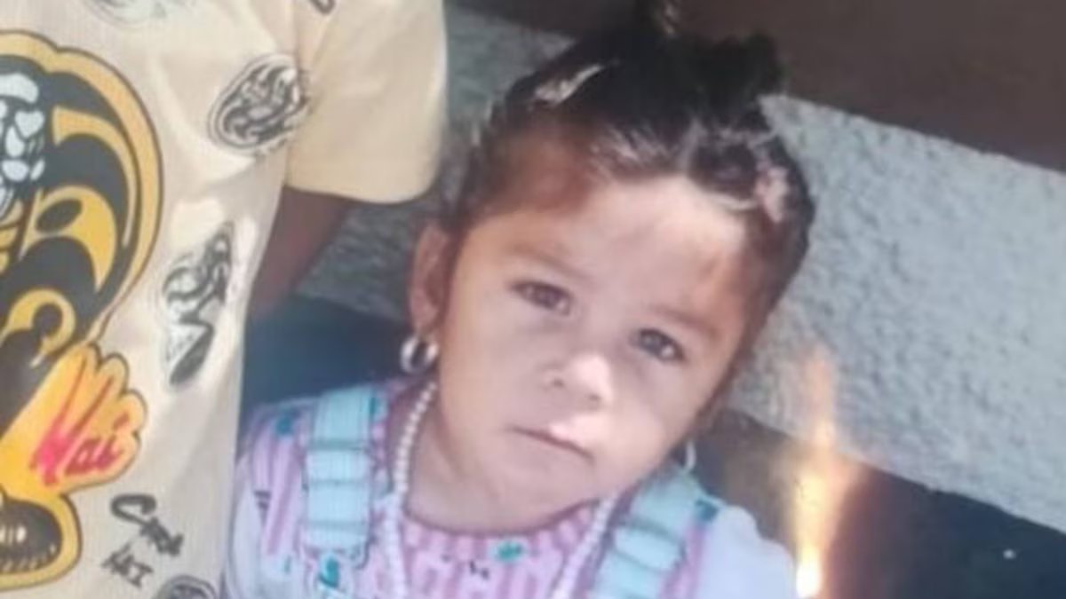 Uma menina de 2 anos desapareceu em Córdoba. a mãe relatou que eles foram “levados” de sua casa.
