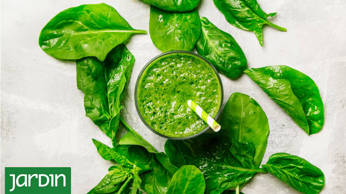 Uma planta que aumenta a energia nos dias quentes e cresce sem esforço no jardim