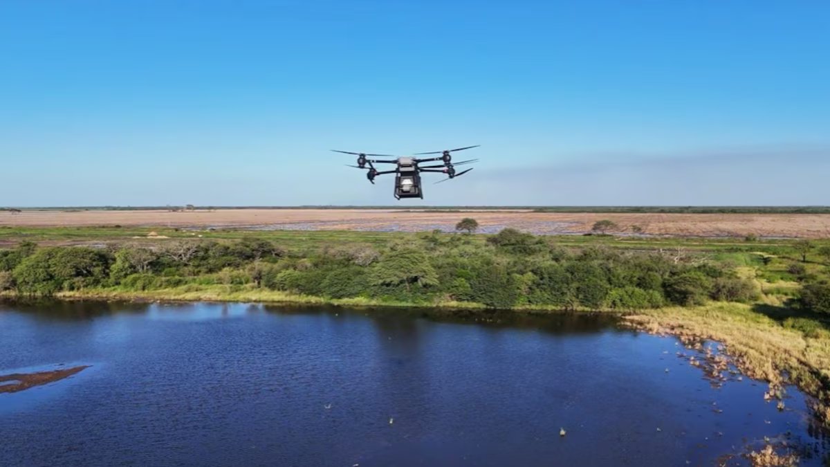 Usando drones, eles liberam sementes em cápsulas biodegradáveis ​​para restaurar uma região icônica de florestas