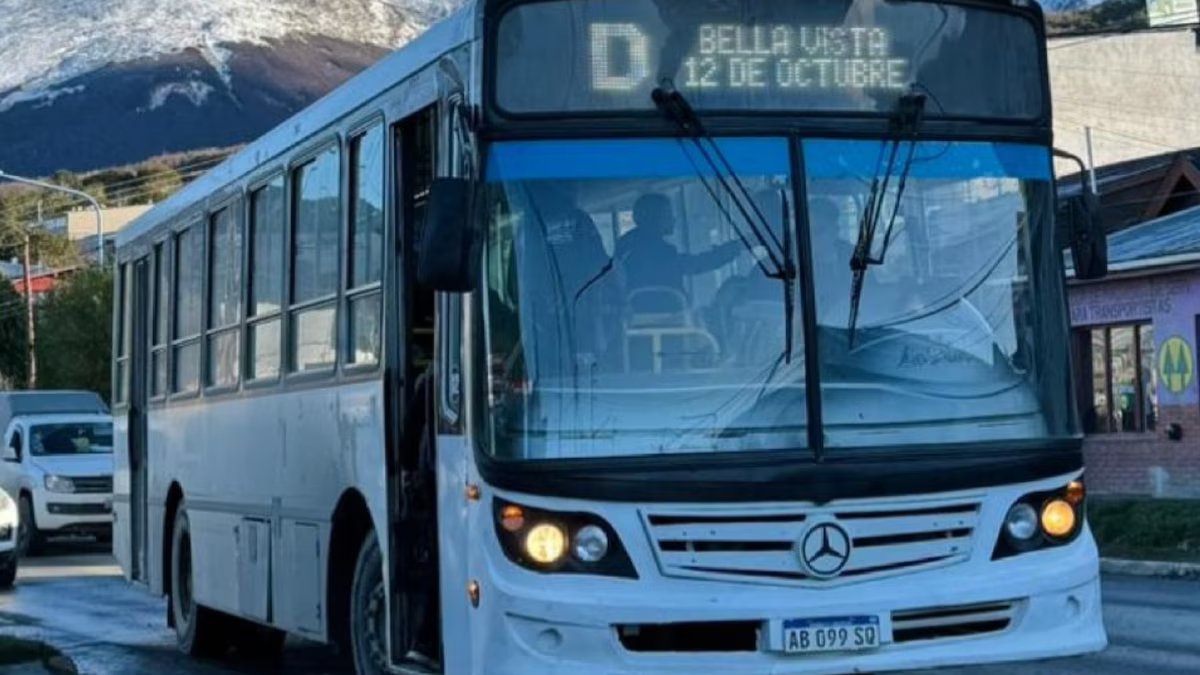 Ushuaia adiciona pagamento para viagens de ônibus com cartão de crédito e débito; como funciona