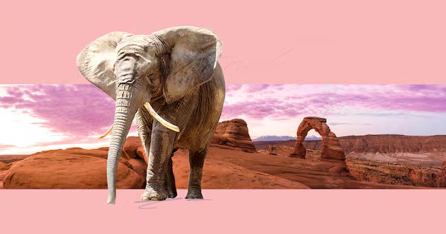 A batalha no Congresso de Utah se concentra na reconstrução da confiança – Deseret News