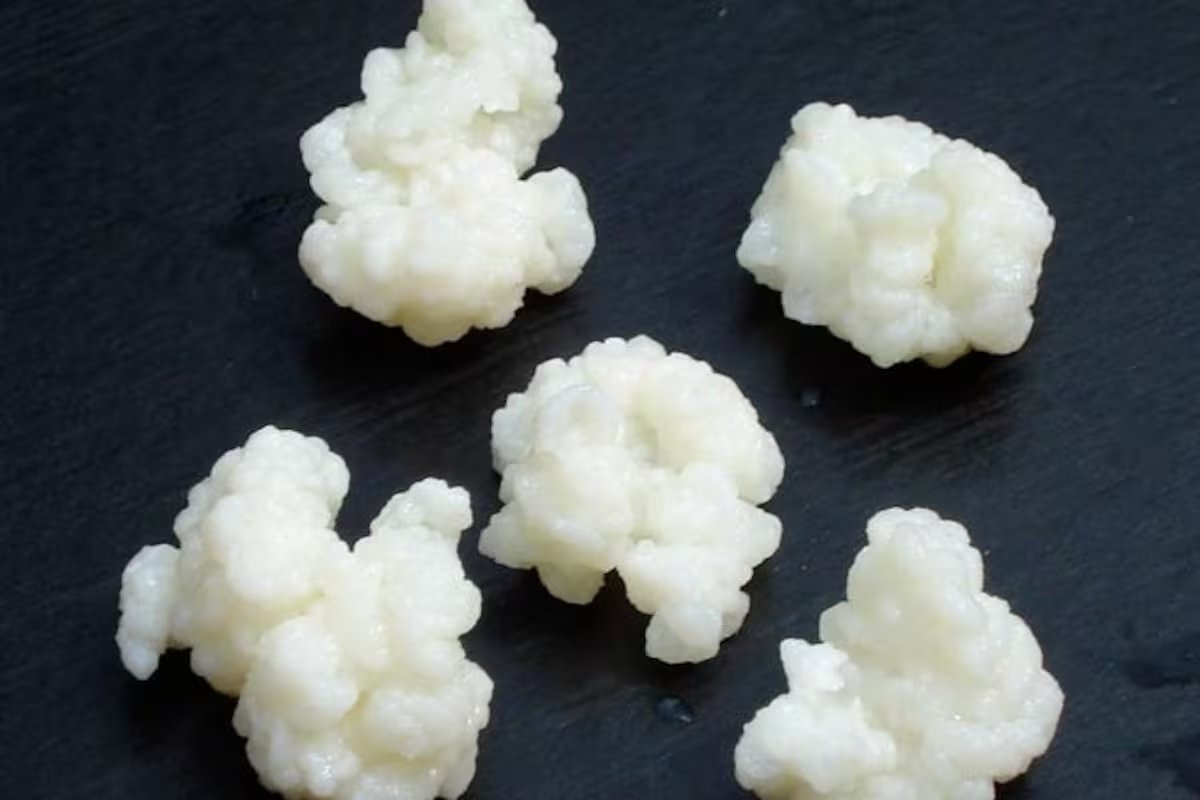 A pesquisa o chama de alimento negligenciado. O que é “ouro branco” e por que melhora a digestão durante dias?