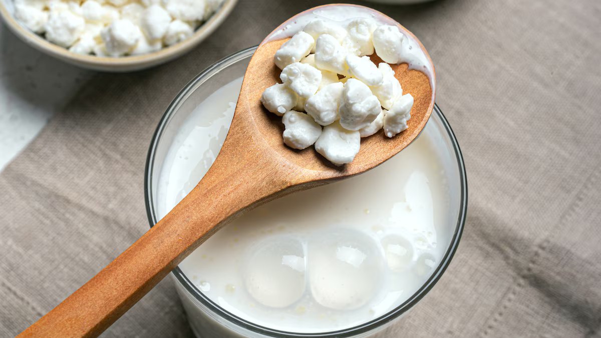 Alimentos que ajudam a digerir melhor e cuidam da microbiota