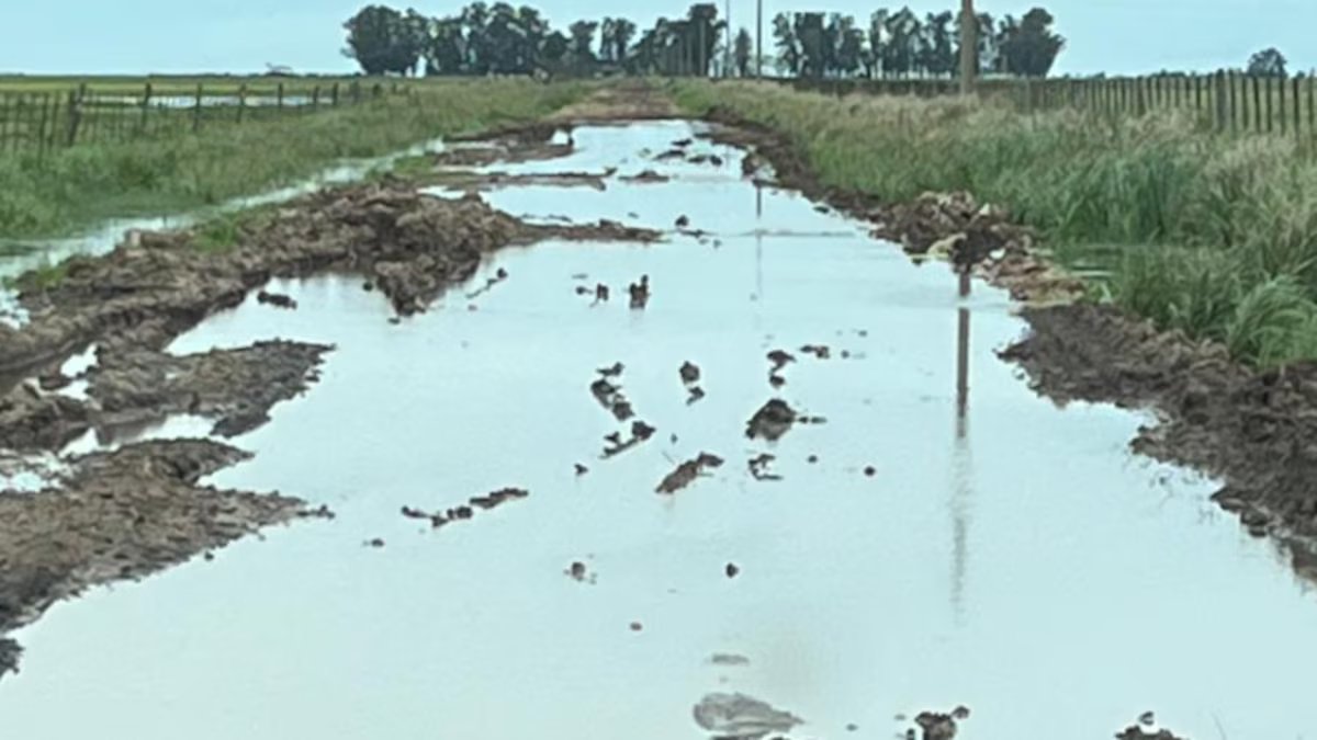 Após duas decisões, os produtores de Buenos Aires se preparam para um terceiro julgamento para acabar com os prêmios