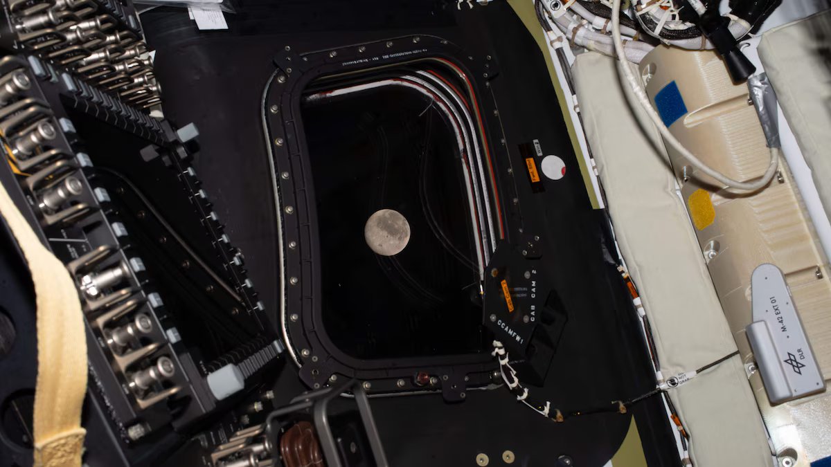 Artemis II na Lua, direto. A missão da NASA hoje, minuto a minuto