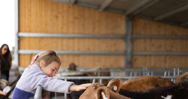 Ballerina Farm Dairy está aberta para passeios – Deseret News