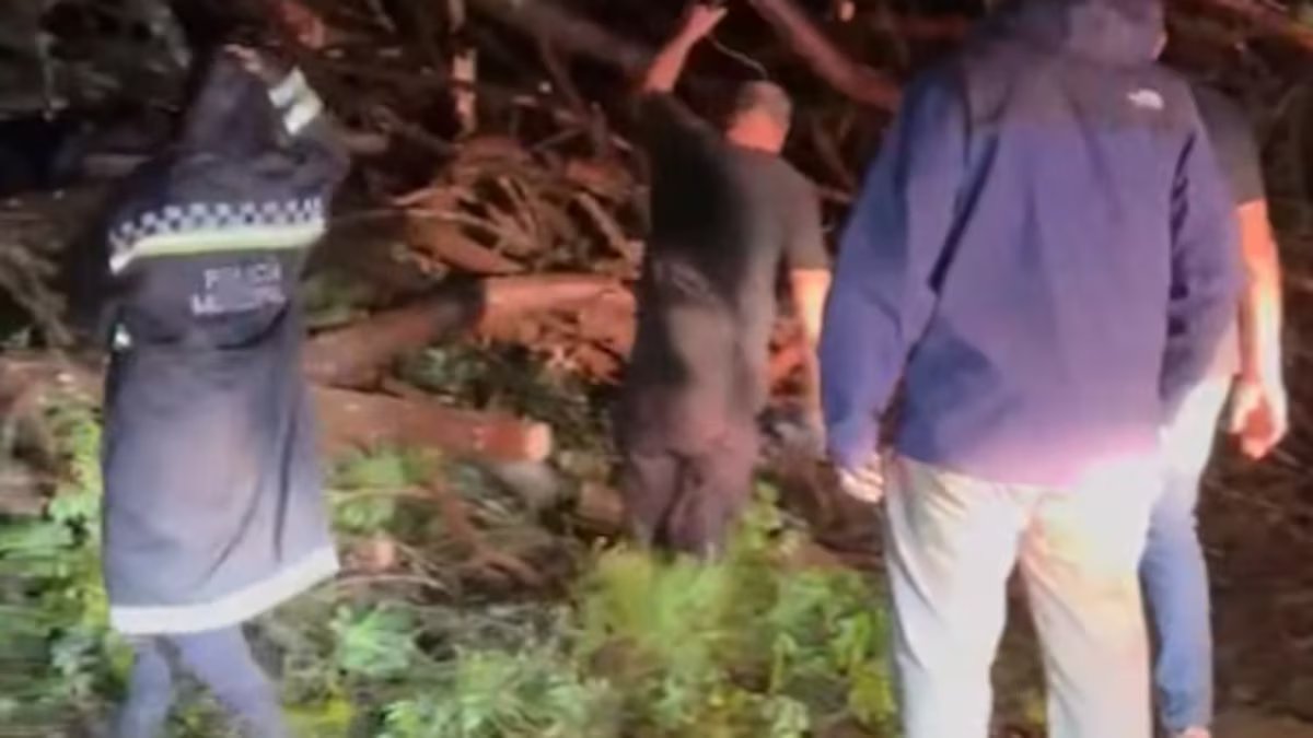 Caos na AMBA. carros cobertos de água, ruas inundadas e árvores derrubadas