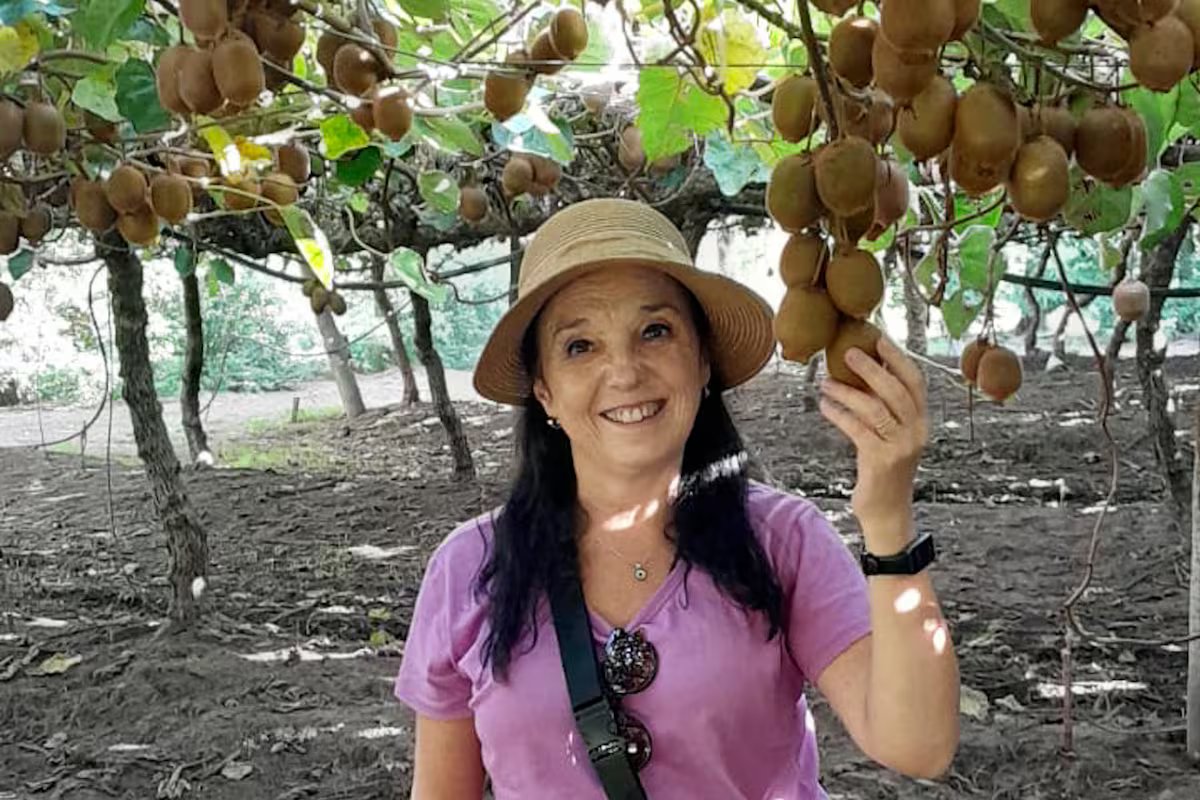 Colheita de kiwi em Saladillo. uma caminhada para conhecer o processo e colher esta fruta chinesa