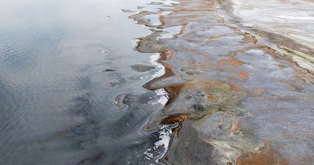 Como o HB410 ajudará os agricultores a ajudar o Grande Lago Salgado