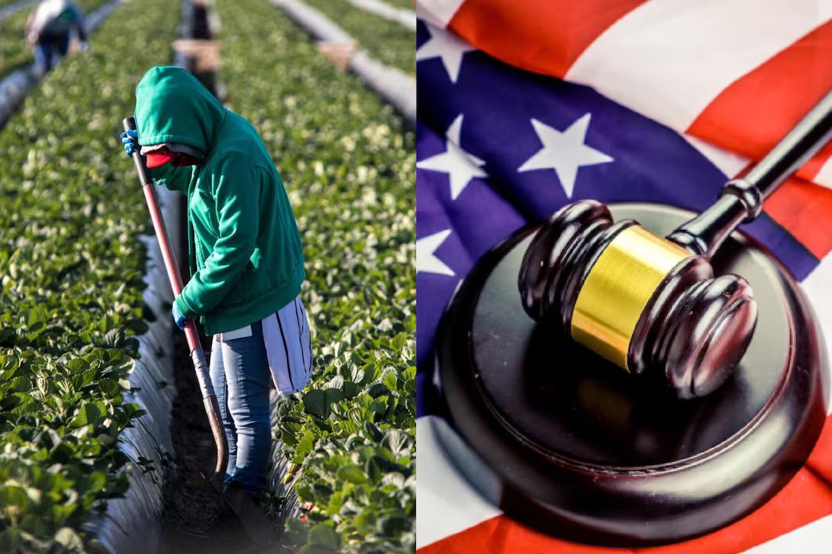 É oficial. Quais serão os novos requisitos do USCIS para uma autorização de trabalho para migrantes?