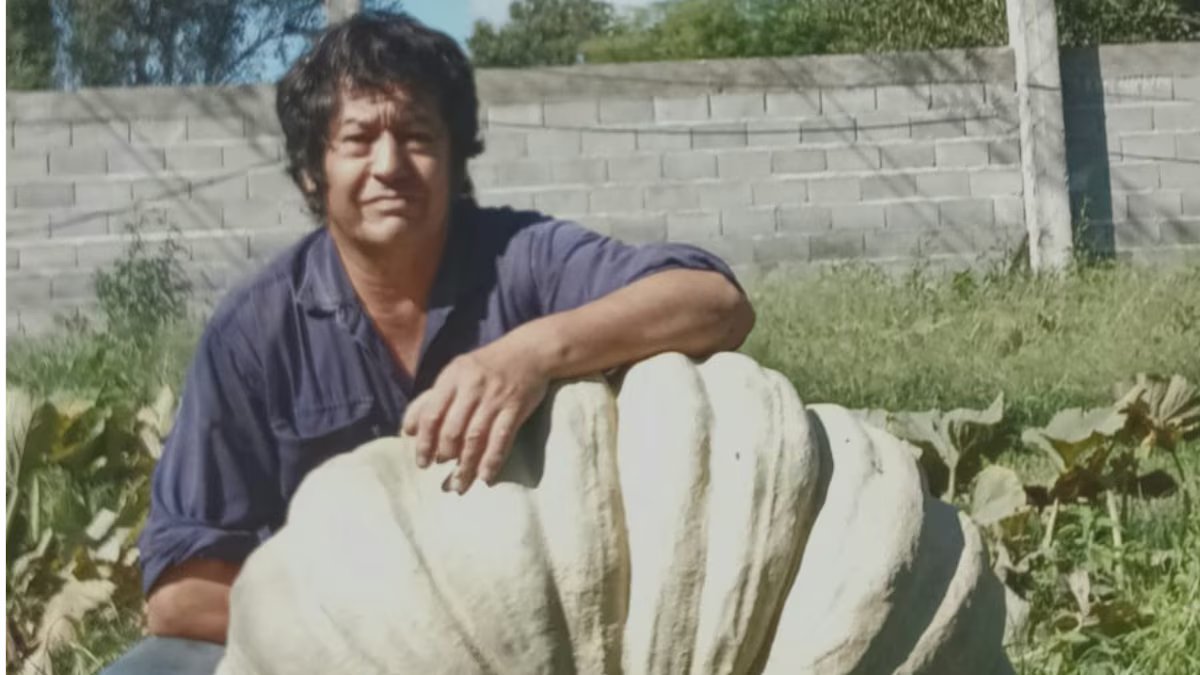 Ele pegou uma abóbora gigante, surpreendeu seu povo em uma festa e deu de presente