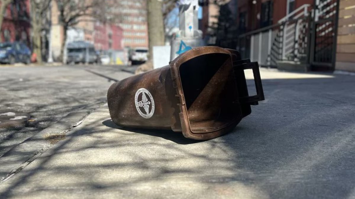 Eles pararam de multar os proprietários por não fazerem compostagem e o programa entrou em colapso; As sanções estão de volta a Nova York