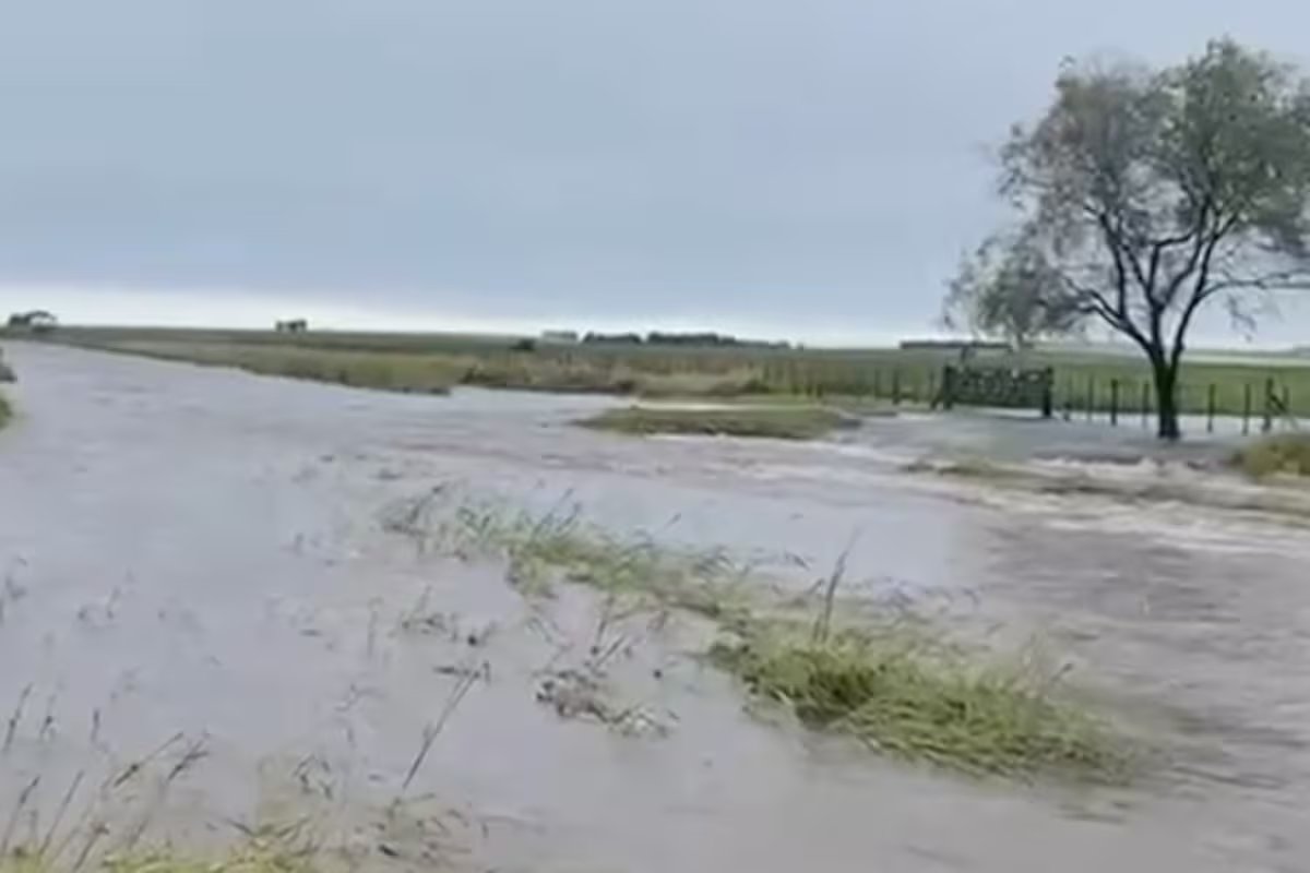Embora a sua magnitude seja incerta, as previsões prevêem o regresso do El Niño na Primavera.