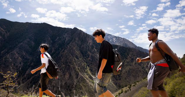 Executivos defendem reorganização do Serviço Florestal – Deseret News