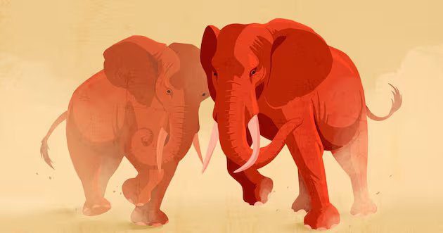 Kai Schumer está concorrendo a tesoureiro do Partido Republicano em Utah – Deseret News